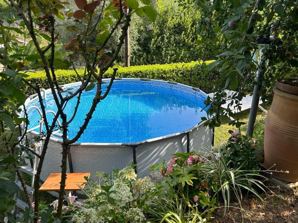 Casa Anna A Pietrasanta In Toscana Con Piscina المظهر الخارجي الصورة