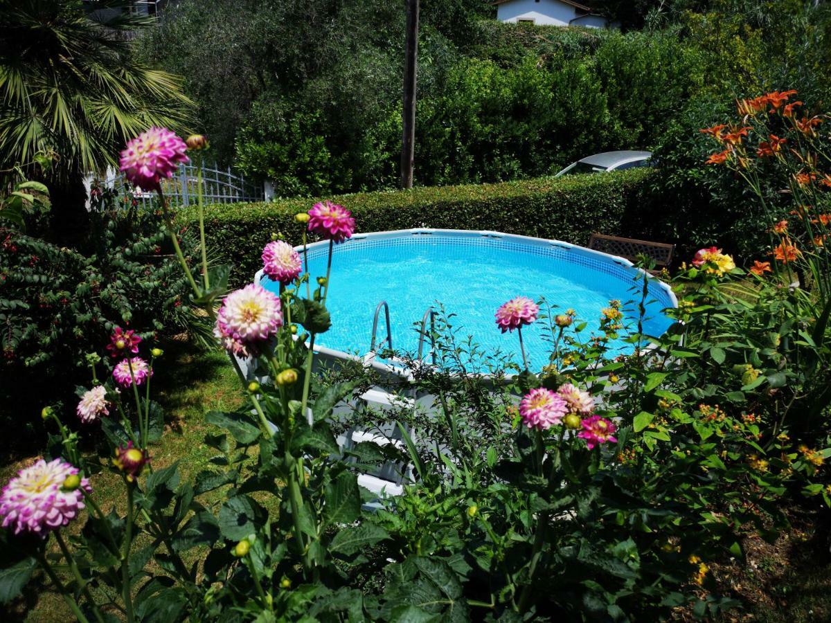 Casa Anna A Pietrasanta In Toscana Con Piscina المظهر الخارجي الصورة
